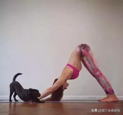 每天做下犬式的好处,下犬式的好处