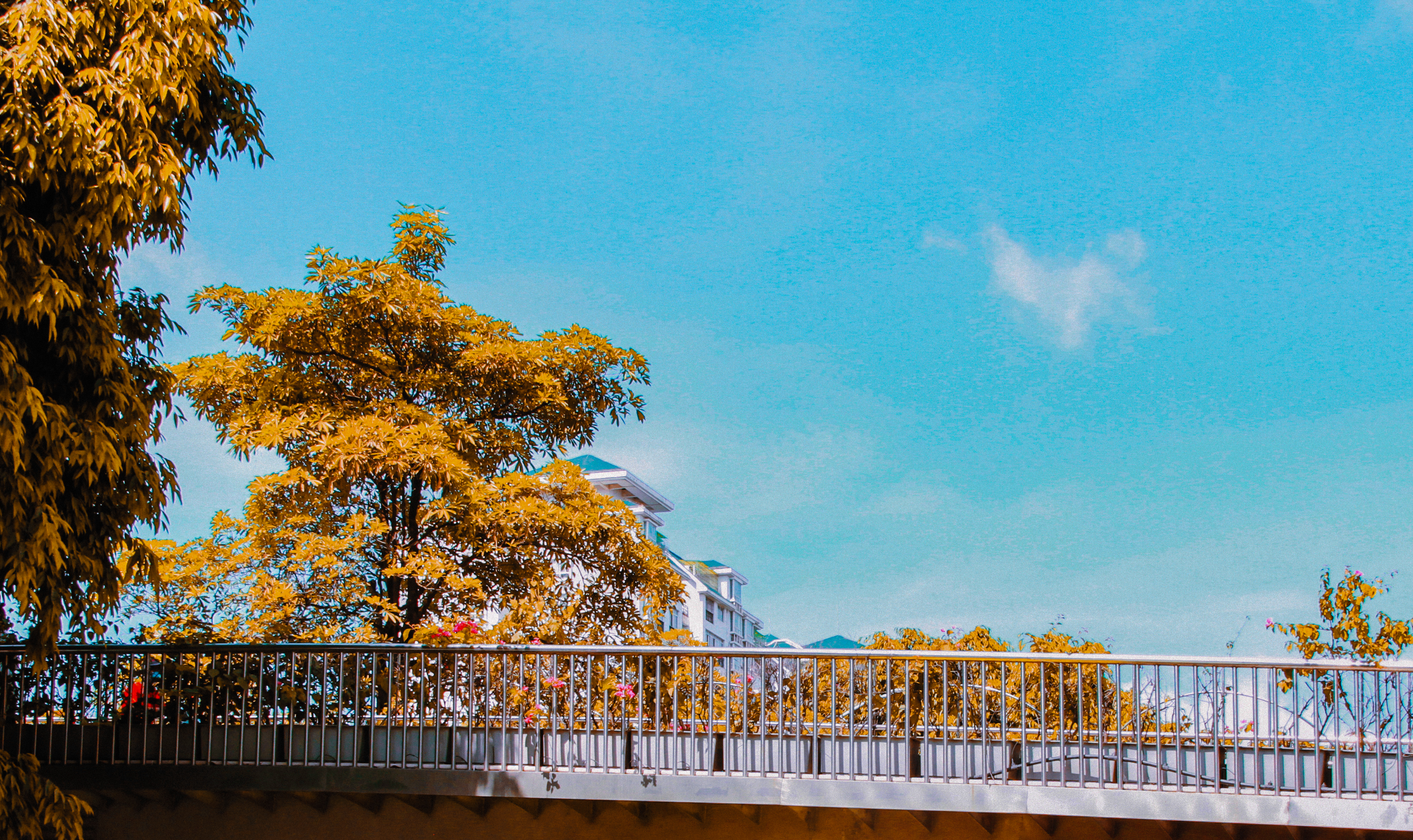 摄影调色教程ps调成高级黑白色调,ps逆光拍摄调色教程