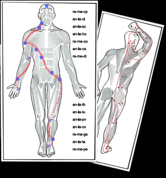 膝关节内侧按压疼,膝关节内侧突发有个包