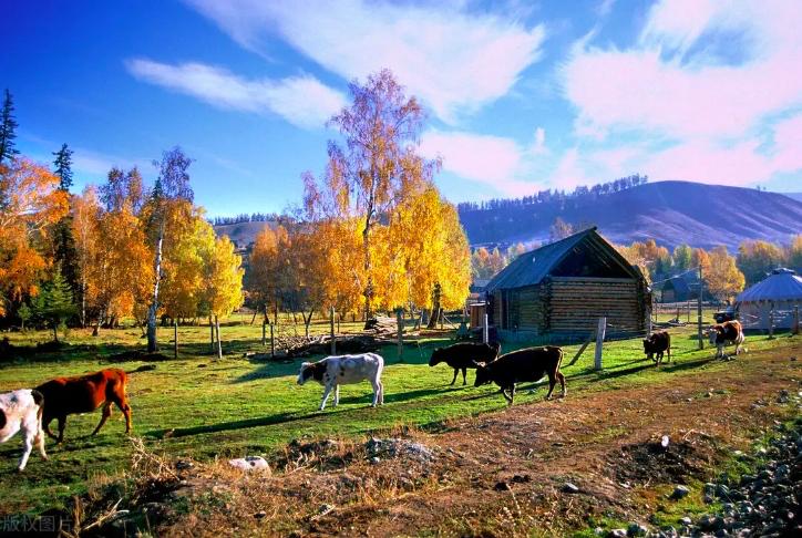 川西熊猫大道最新路况,川西熊猫大道沿途风景