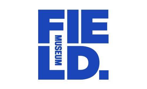 各大品牌logo的进化史及含义,知名品牌最新logo标志