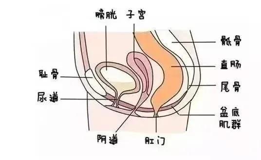 产后怎么治便秘快速有效法,产后便秘怎么办最有效方法