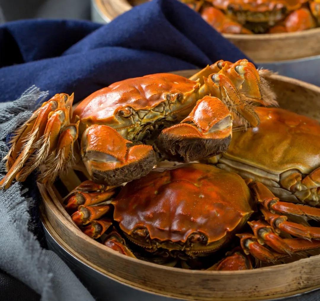 乐山龙游路何师烧烤,何师烧烤最新消息