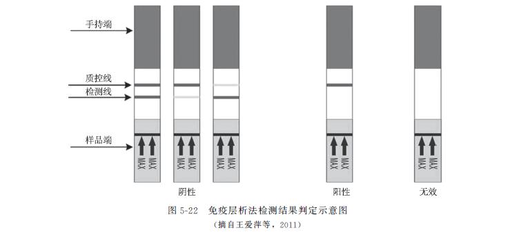 兽药氨基糖苷类药物有哪些,动物食品添加剂检测