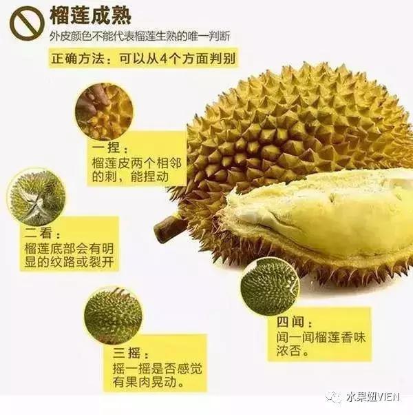 榴莲工业催熟,榴莲家里催熟