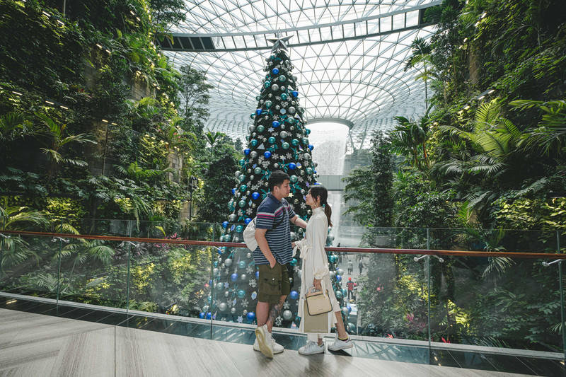 一人一猫环游,一人一猫旅行