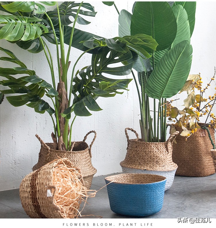 碧桂园阳台花园打造方法,50平打造网红阳台