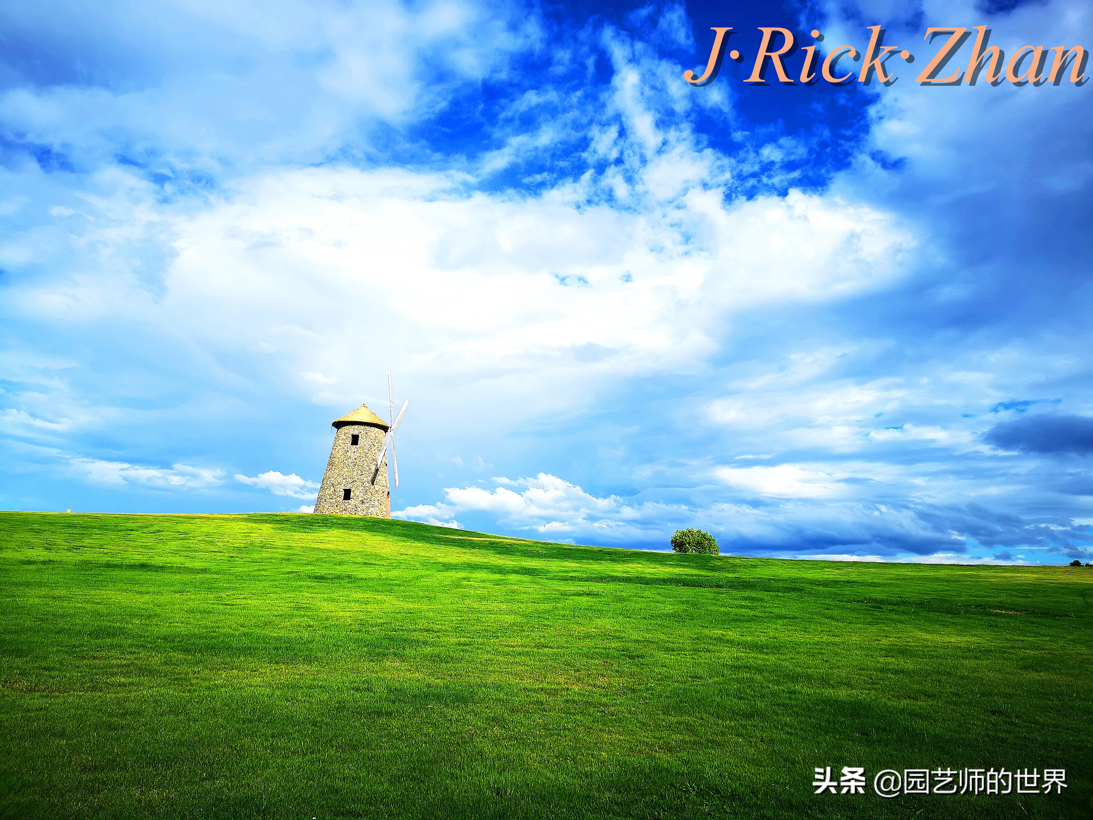 果岭草坪的种植养护方法及技巧,怎么种植一个可以躺的草坪