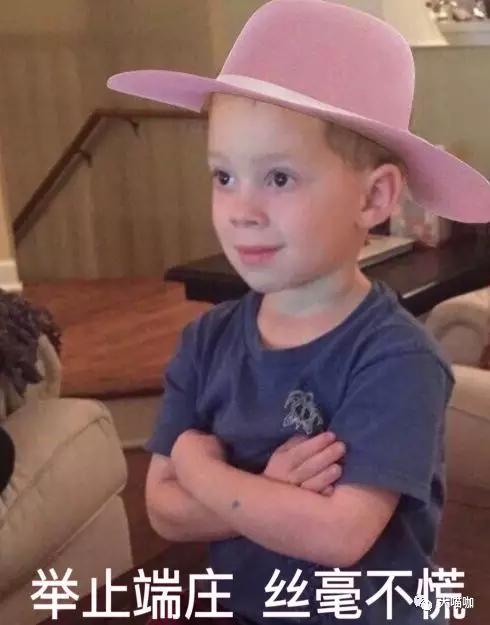 猫咖所需要的技术特点,猫咖技术