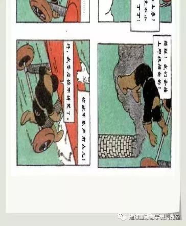 丁丁和丁丁历险记论文,丁丁历险记丁丁的服装