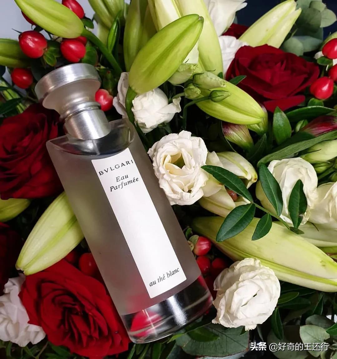 宝格丽茗珍白茶故事,宝格丽茗珍白茶平替