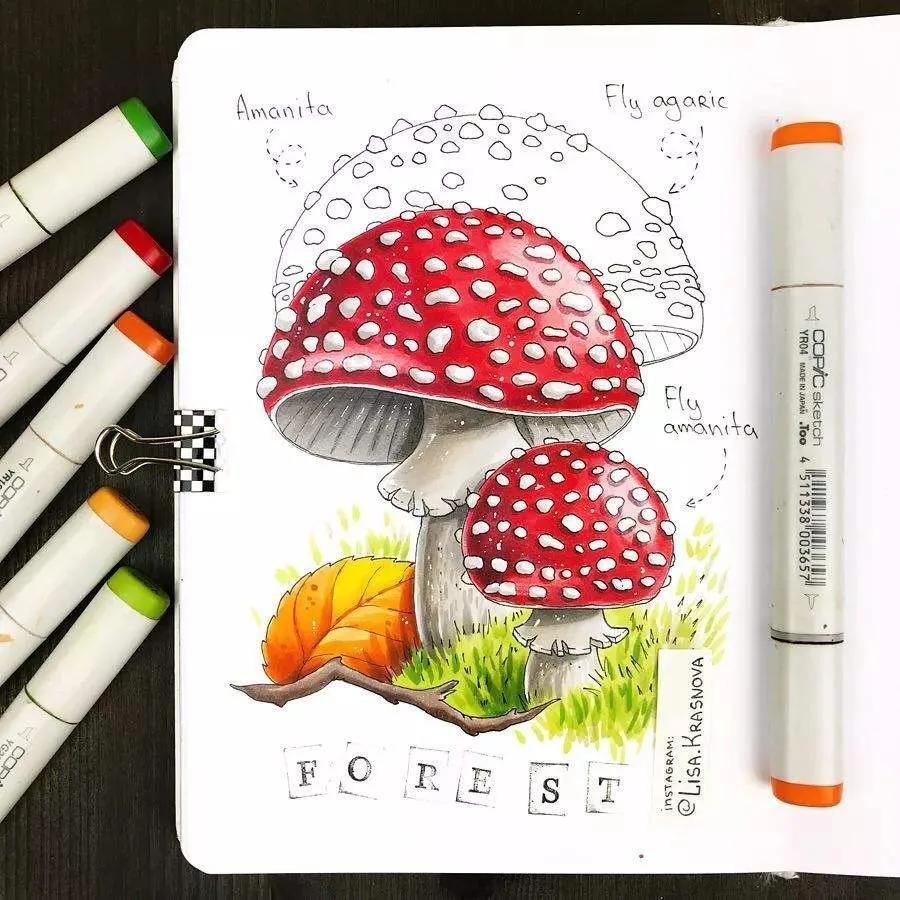 美食画法日式马克笔,马克笔手绘美食画教程