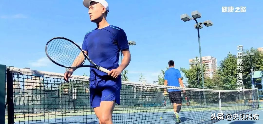 通经络的植物有哪些,绿植哪些有药用价值