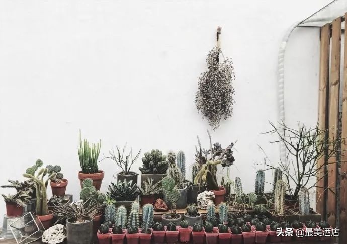 她放弃了总监职位后续,她辞去总监回家扶贫全集