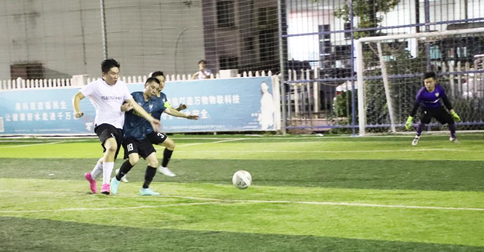 七战全胜获亚军,七战全胜夺冠