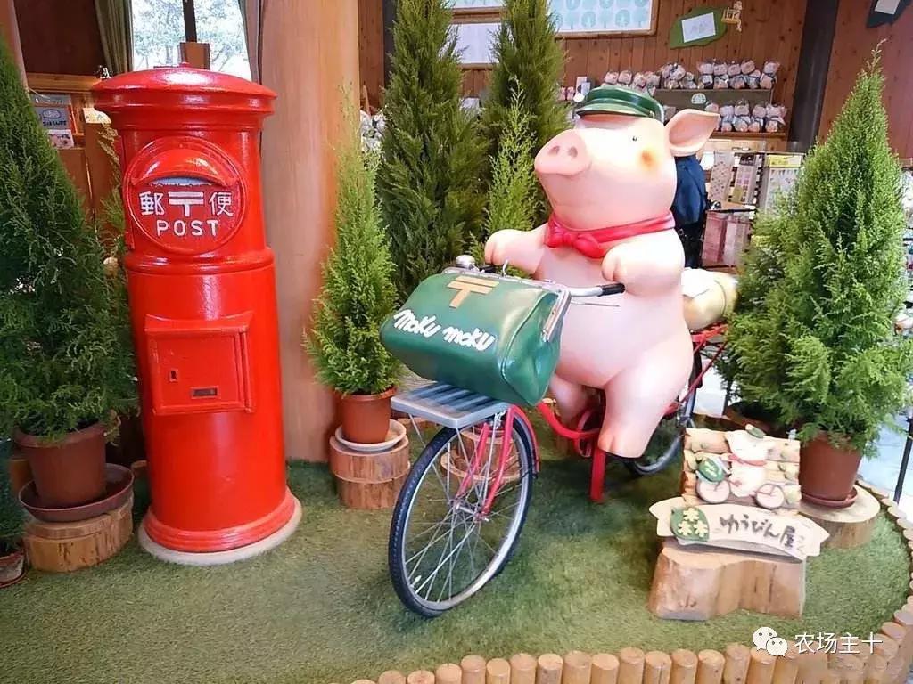 从零开始打造一个优质亲子农庄,从亏损近2亿到盈利35亿的逆袭