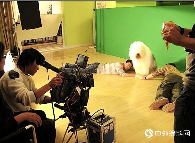 多乐士里的狗叫什么名字,多乐士的狗是哪家的