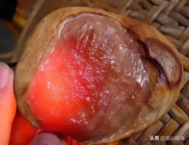 怎么捡到价值极高的石头,捡到一块石头价值千万