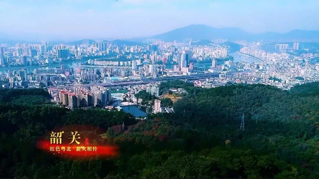 董明珠珠海直播,董明珠韶关直播说石斛