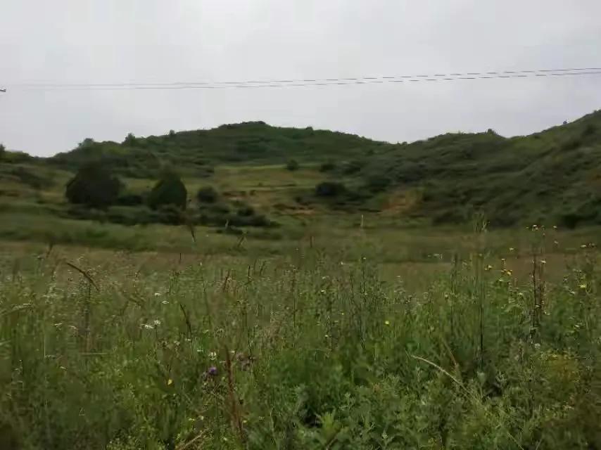 乡情散文/故乡的古井