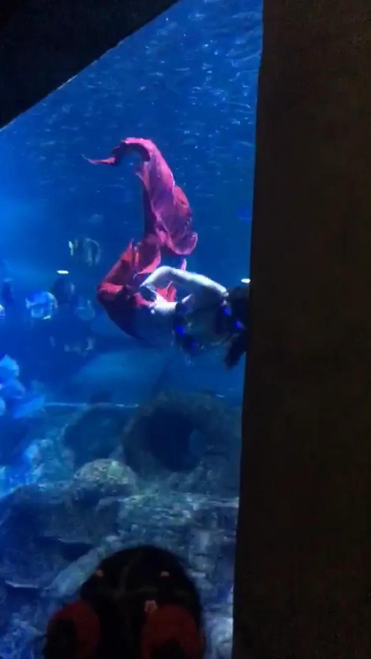 南京海底世界游览图,南京海底世界门票