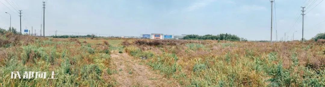 新繁发展不起来的原因,新繁最近发生的事