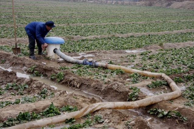 土地流转种植致富项目,农民拿土地入股怎么运作