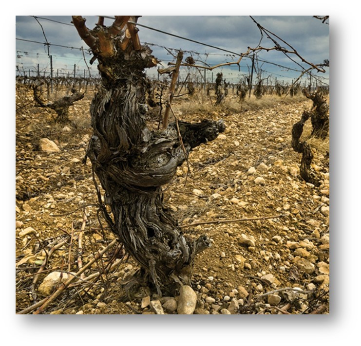 注意了，过年回家要是带上它，爸妈保证欢喜