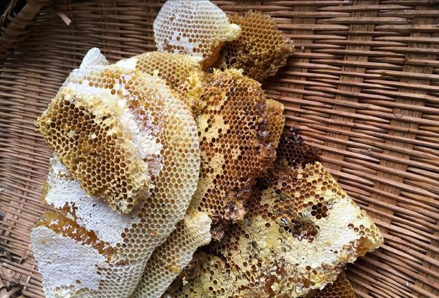 什么是野生蜂蜜,纯天然野生蜂蜜