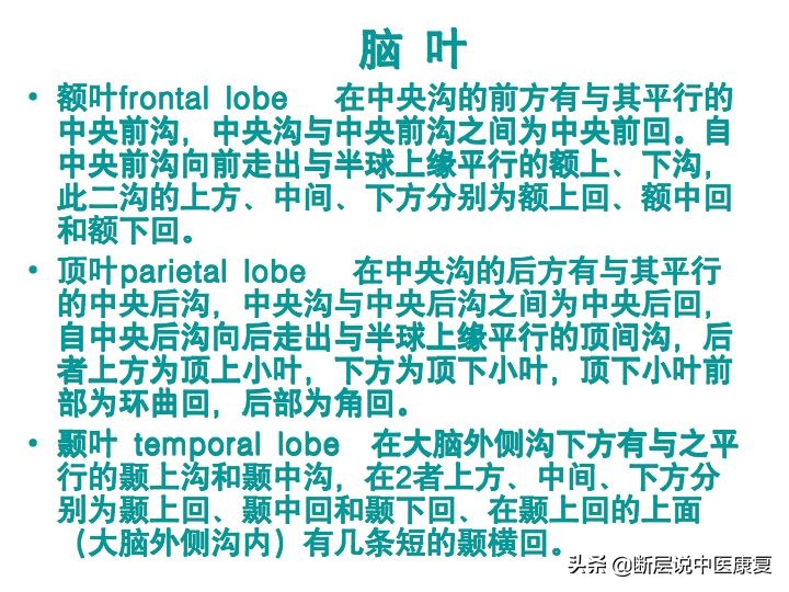 中枢神经系统断层解剖讲解,中枢神经3d解剖动画