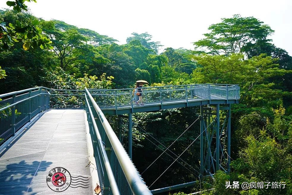 新加坡旅游住酒店攻略,去新加坡旅游住宿怎么选择