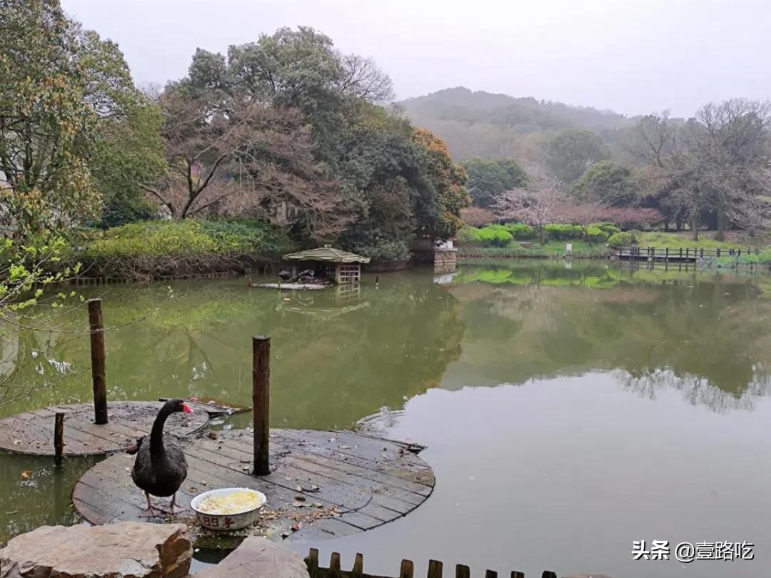 无锡人都在吃什么,无锡人为什么喜欢吃甜的