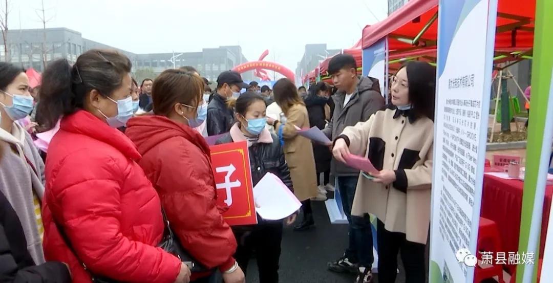 春风活动招聘会,线下线上直播招聘会