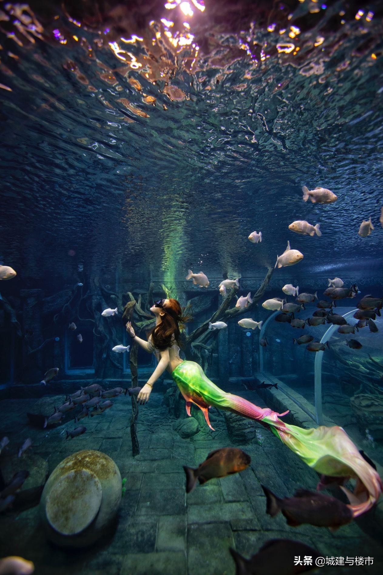 银基动物王国郑州遛娃的好去处,银基冰雪世界要不要带上遛娃神器