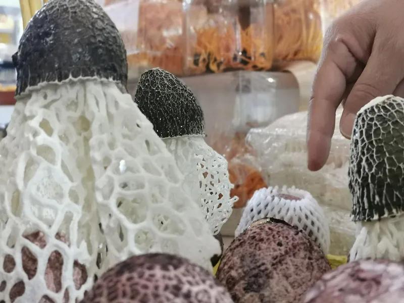 合肥农交会东西便宜吗,合肥农交会上的特产