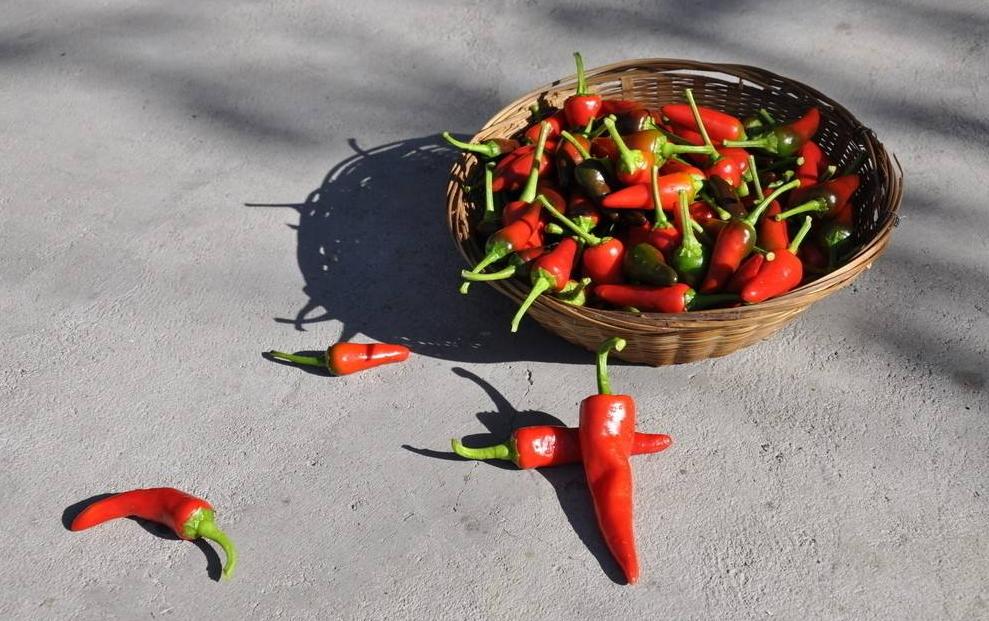 又杀菌又增产的药,又杀菌又增产的农药