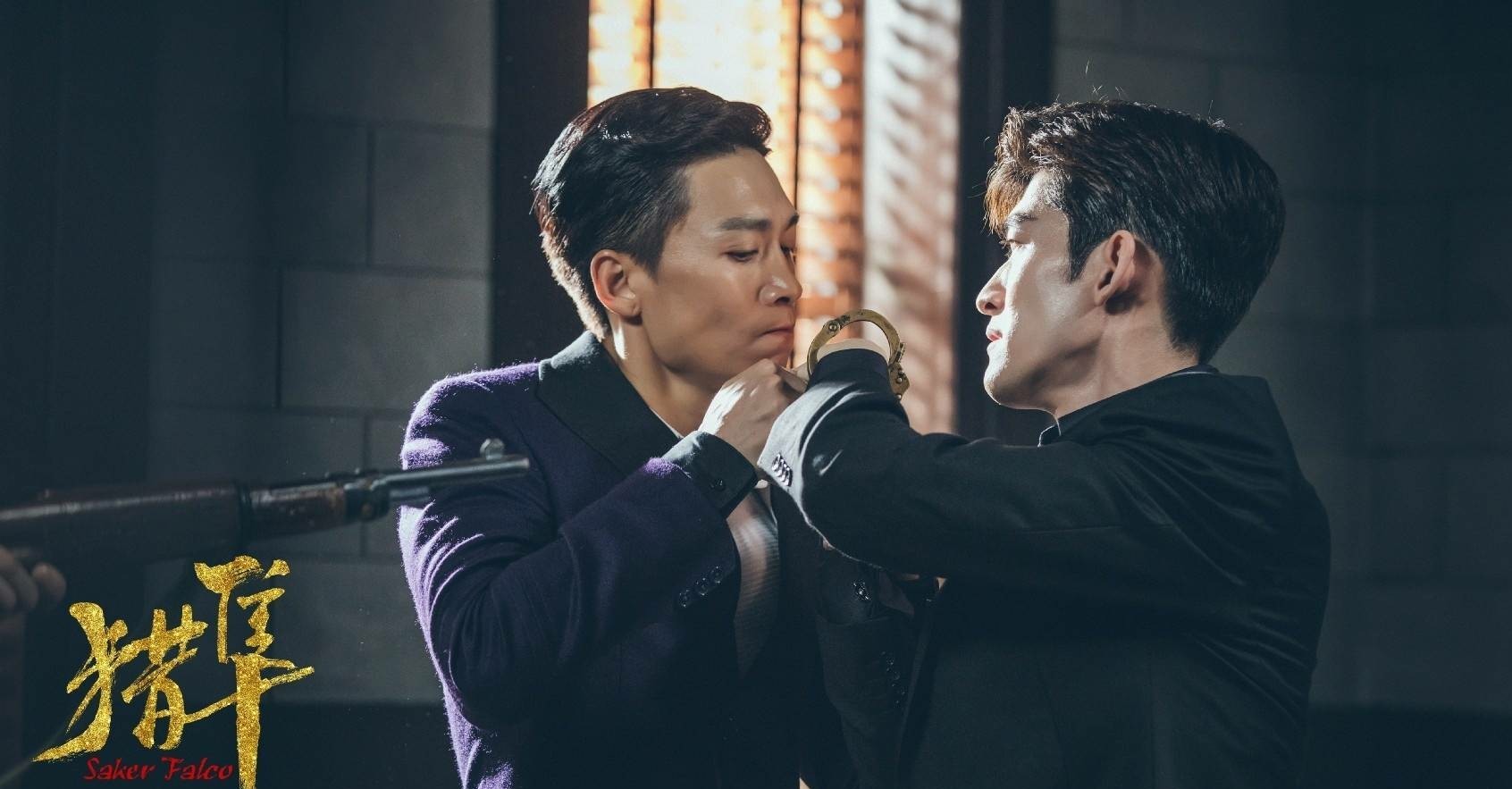 猎隼电视剧什么时候上映,猎隼谍战剧28集