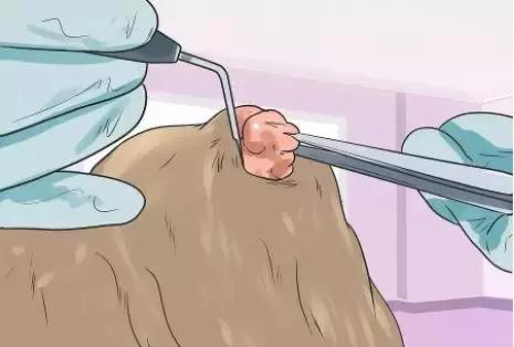 狗狗身上瘊子怎么去除,狗狗身上的斑点怎么去除