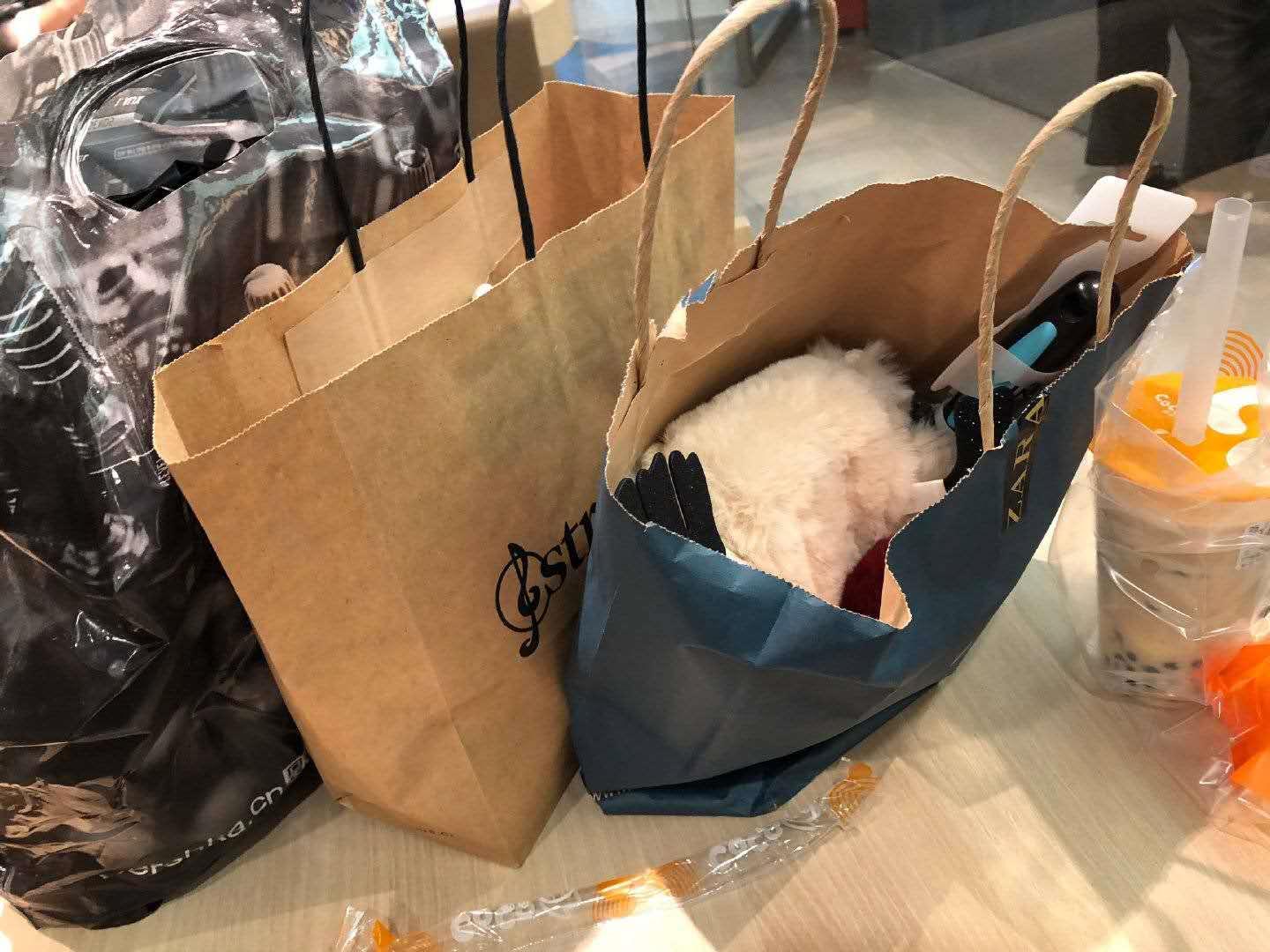 zara麋鹿包真假对比,zara经典配饰