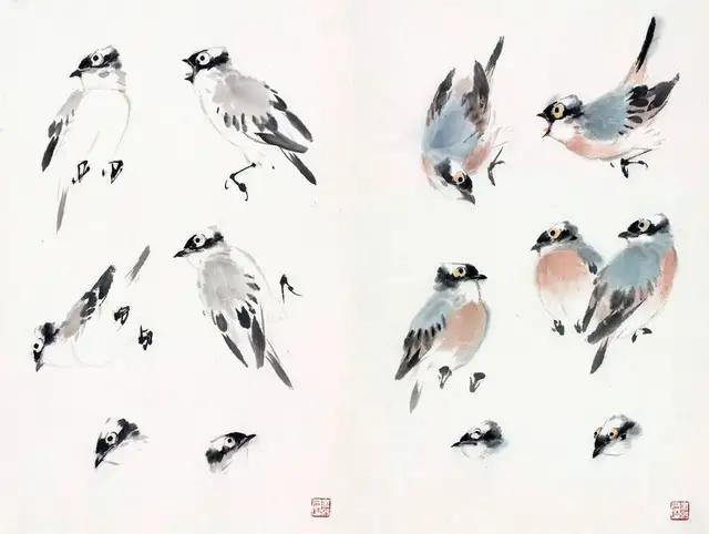 国画300例写意禽鸟技法入门,国画鸟的画法一学就会
