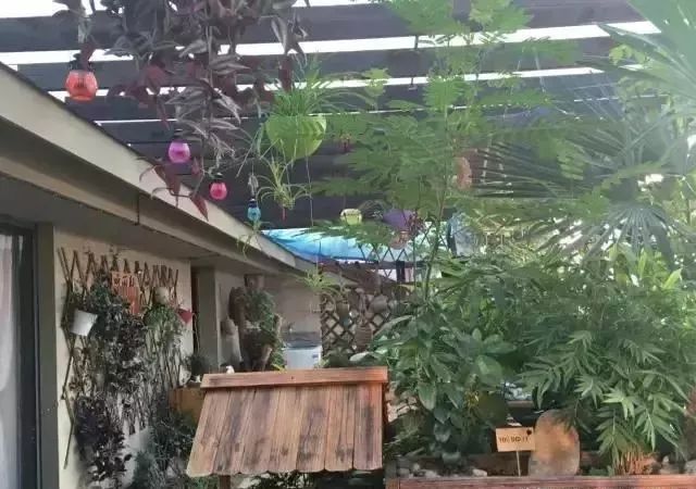 庭院设计收费标准,庭院设计费用计算