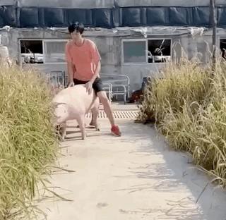 张国伟喝可乐,张国伟膝盖疼怎么办