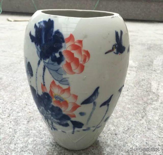 切酒瓶做花盆养多肉看效果,自制酒瓶多肉花盆如何造型