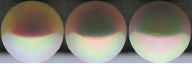 看了就想买的东西,看了就想买东西