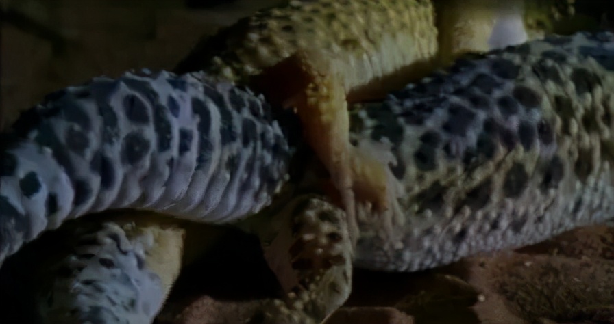 怎么知道她有没有怀孕,怎么知道自己是不是怀孕初期