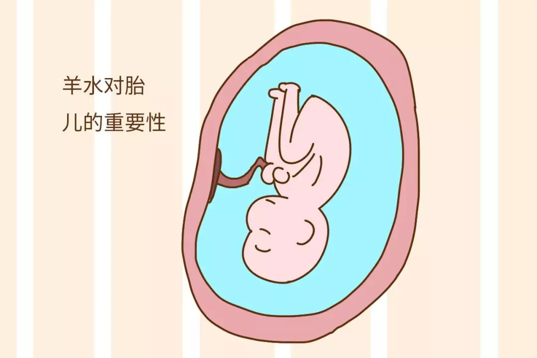 断更三年的小说,人生有一次比较难忘的旅行