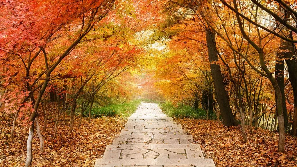 2019年度回顾都去过哪些地方,2019年还有62天你最想去哪里