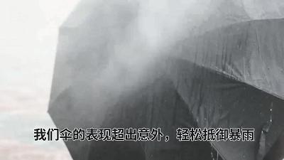 劳斯莱斯带伞的车多少钱,劳斯莱斯配的雨伞多少钱