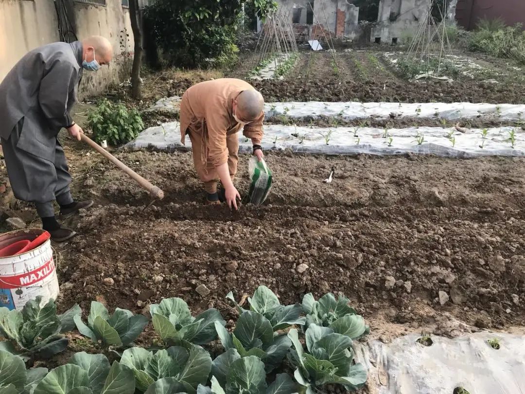 抢抓农时开展农业生产,农民纷纷抢抓春耕生产有利时机