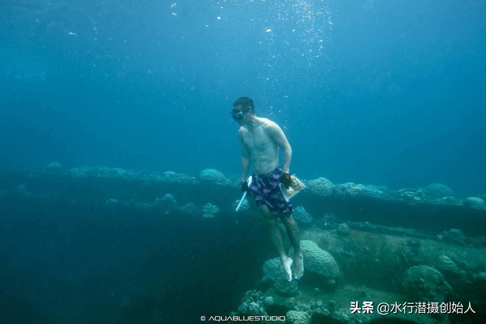 帕劳岛自由行潜水,帕劳水母湖自由潜视频